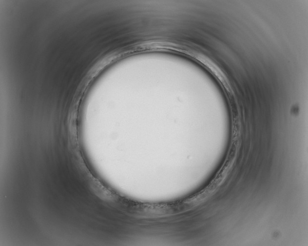 X0000116841055201001151243