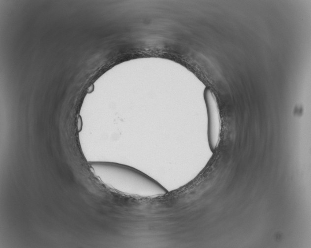 X0000116841057201001151242