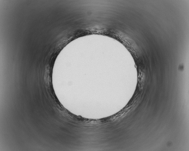 X0000116841058201001151242