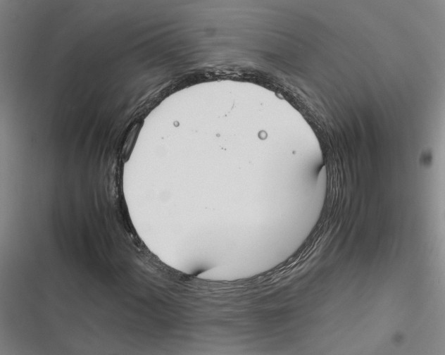 X0000116841060201001151242