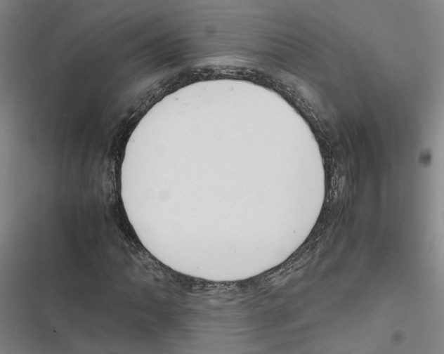 X0000116841062201001151242