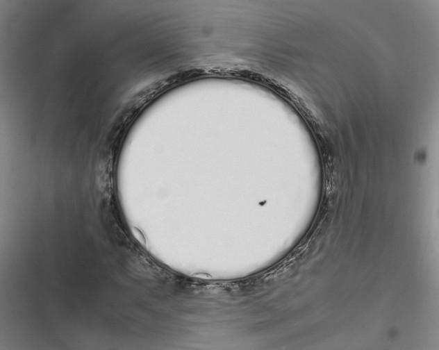 X0000116841063201001151242