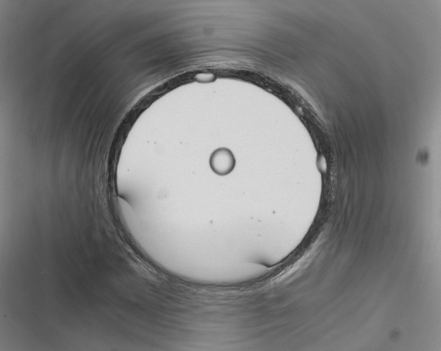 X0000116841065201001151242