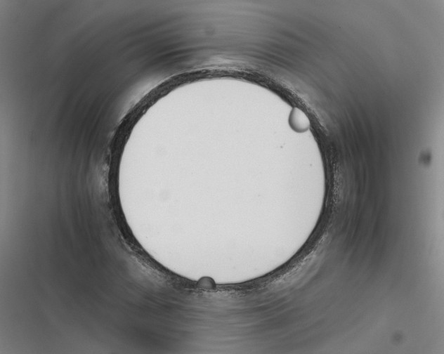 X0000116841066201001151242