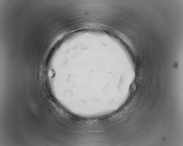 X0000116841067201001151242