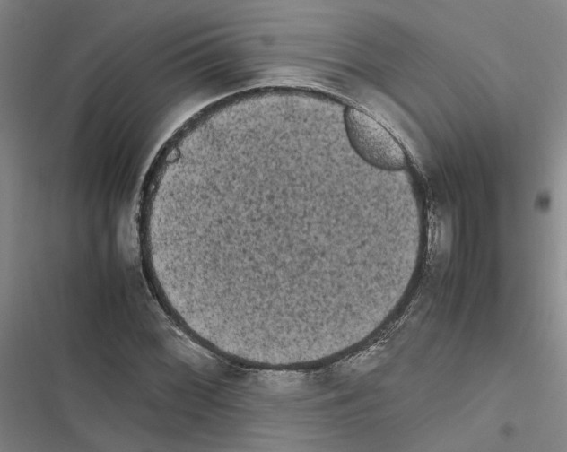 X0000116841068201001151242