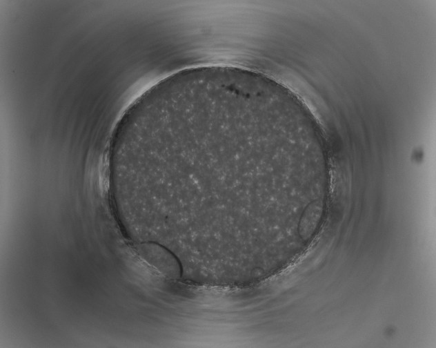 X0000116841069201001151242