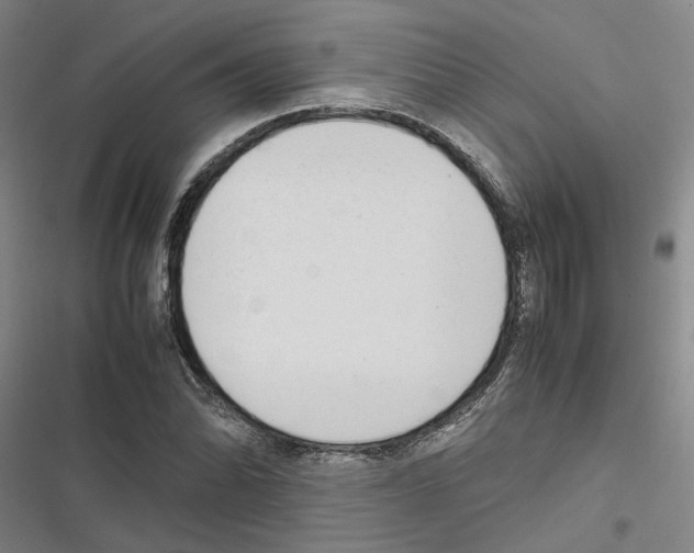 X0000116841070201001151242