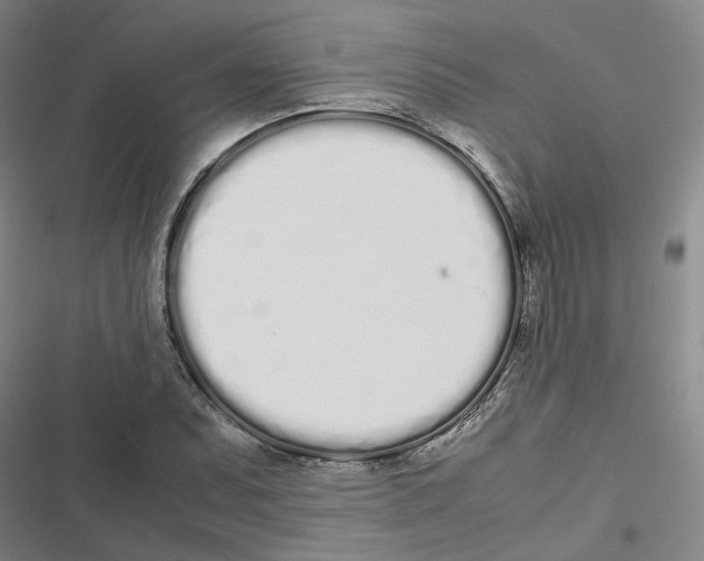 X0000116841071201001151242