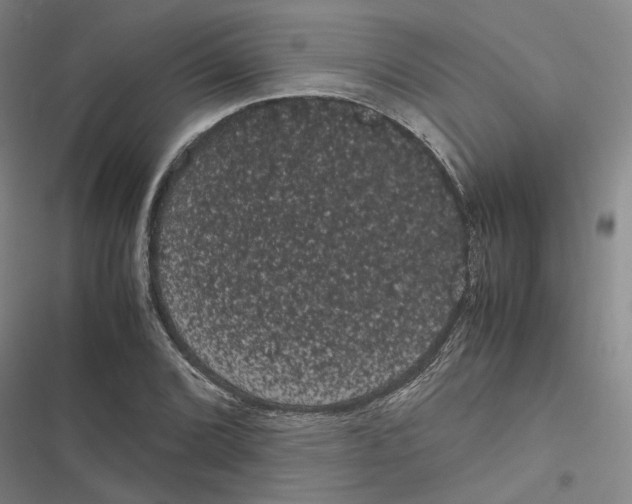 X0000116841072201001151242