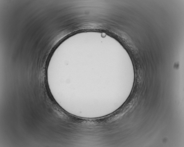 X0000116841073201001151242