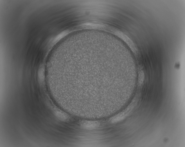 X0000116841074201001151242