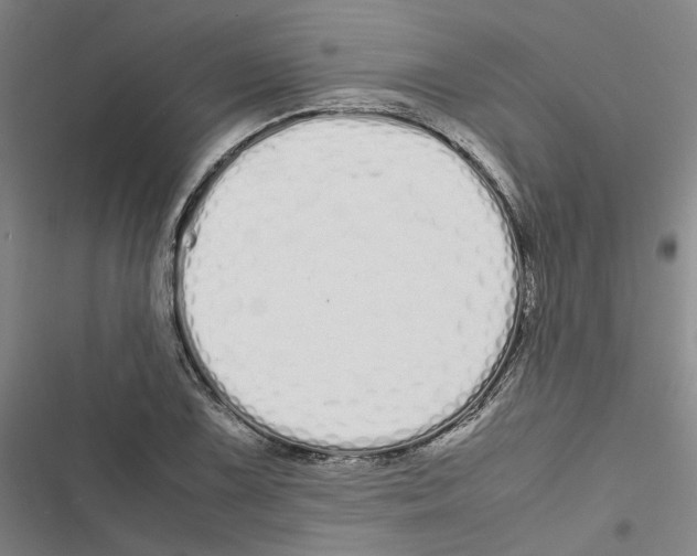 X0000116841075201001151242