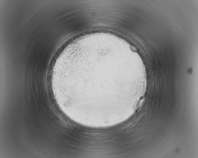 X0000116841076201001151242