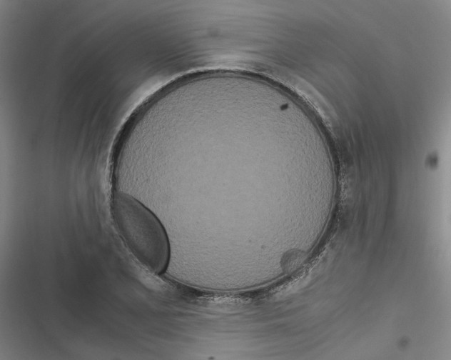 X0000116841077201001151242