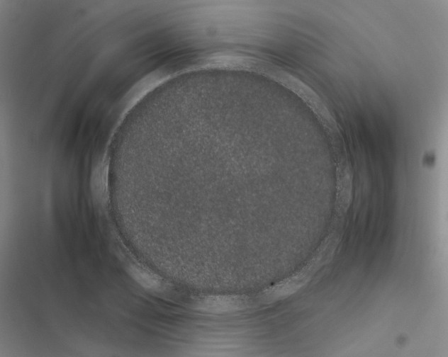 X0000116841078201001151242