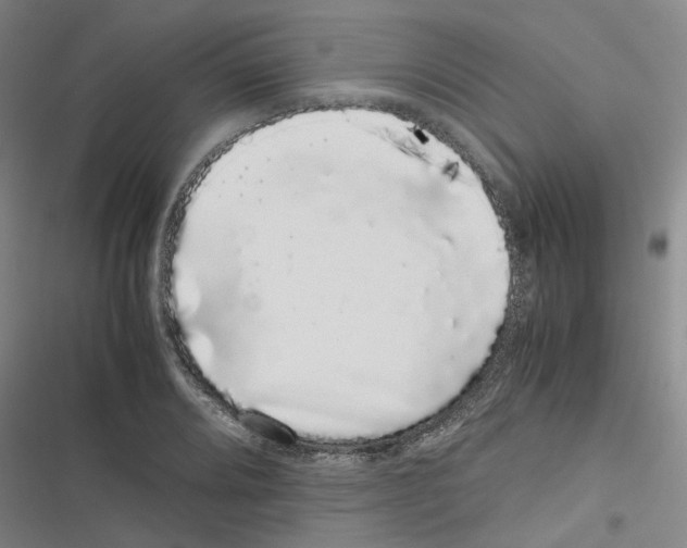 X0000116841080201001151242