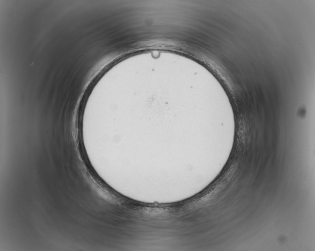 X0000116841082201001151242