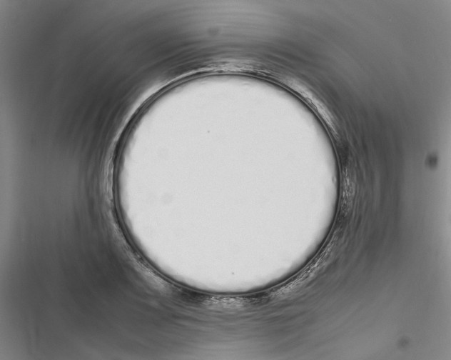 X0000116841083201001151242