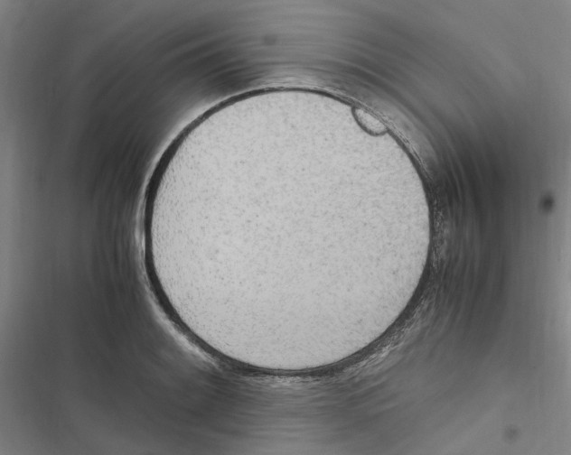 X0000116841084201001151242