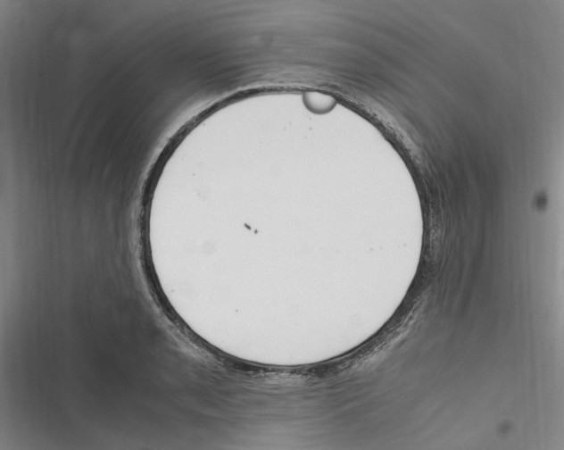 X0000116841085201001151242