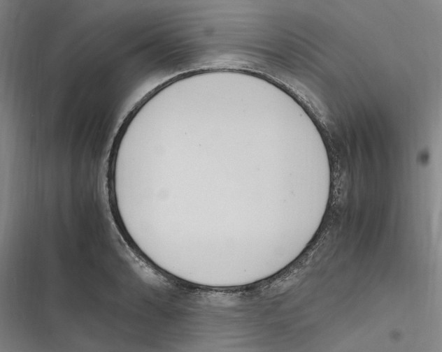 X0000116841086201001151242