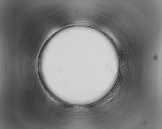 X0000116841087201001151242