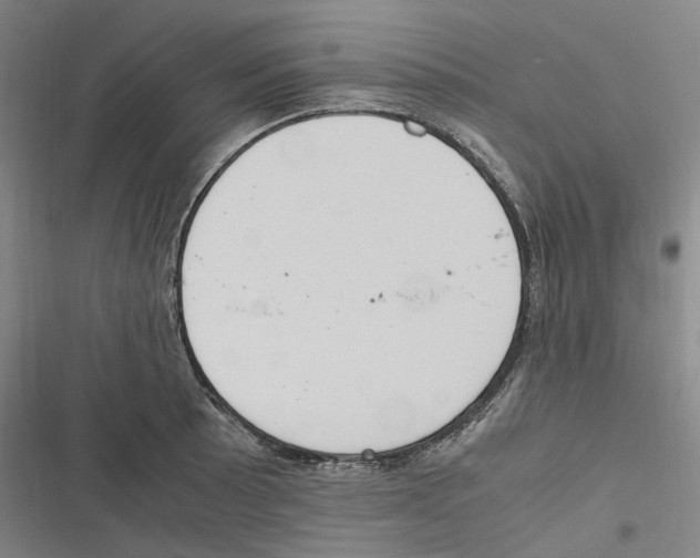 X0000116841089201001151242