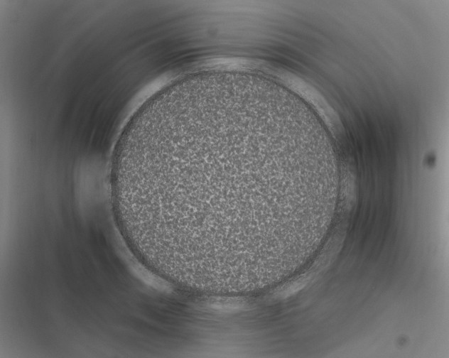 X0000116841090201001151242