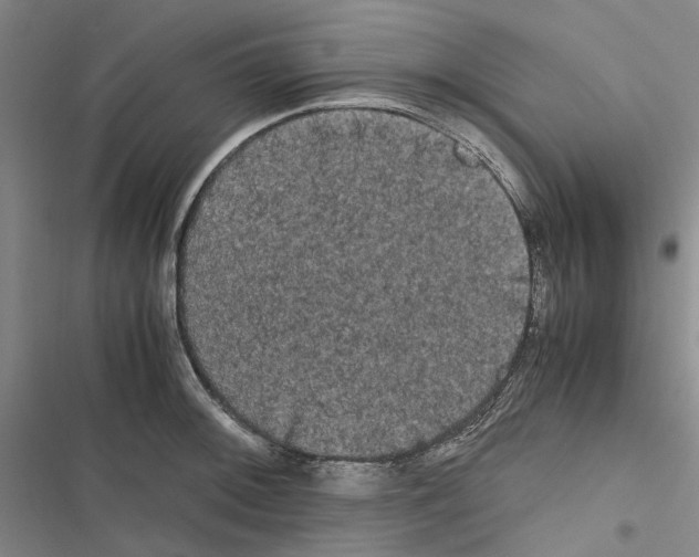 X0000116841092201001151242