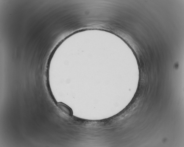 X0000116841093201001151242