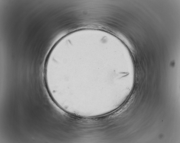 X0000116841095201001151242