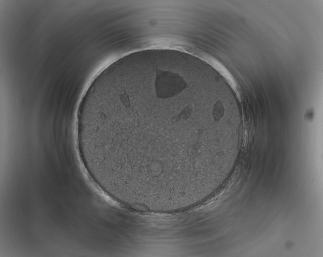 X0000116841096201001151242