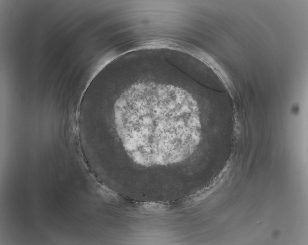 X0000116841097201001151242