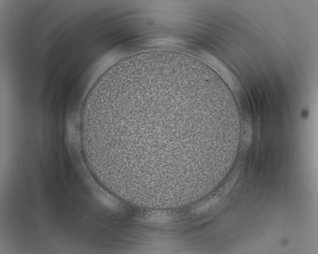 X0000116841098201001151242