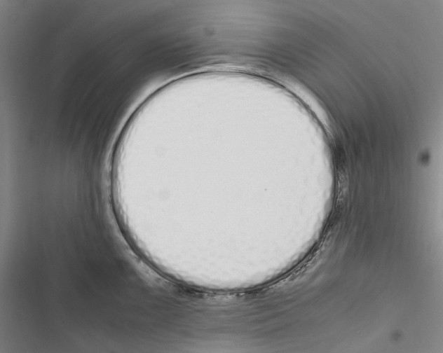 X0000116841099201001151242