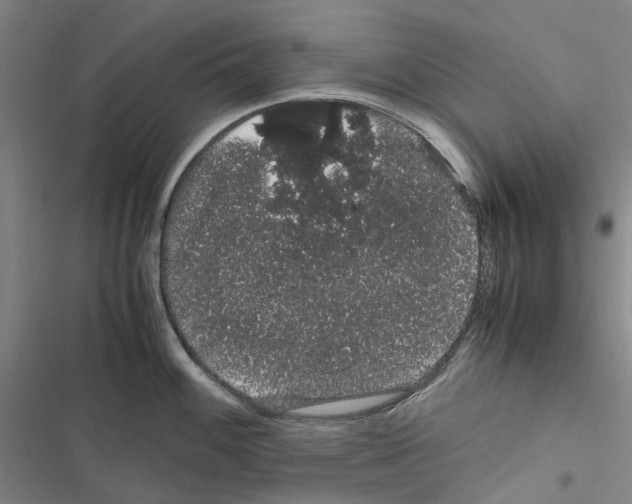 X0000116841100201001151242