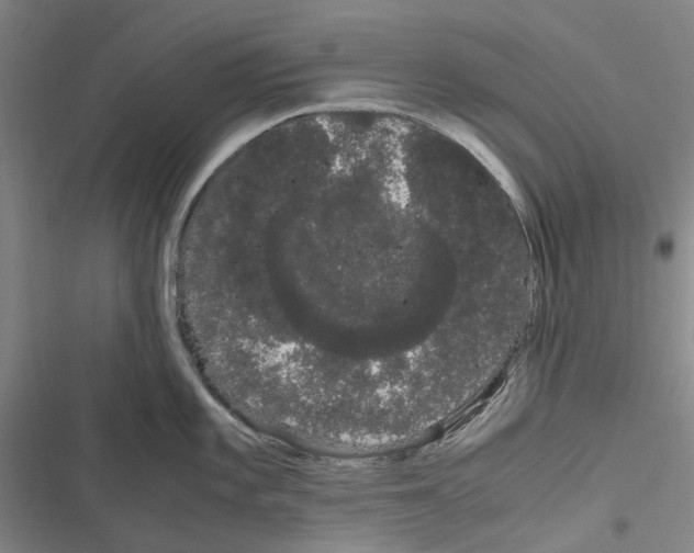 X0000116841101201001151242