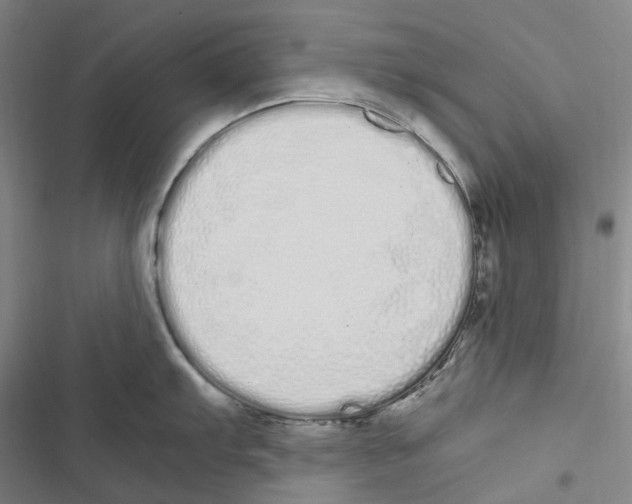 X0000116841103201001151242