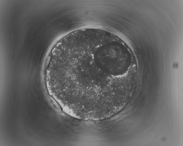 X0000116841104201001151242