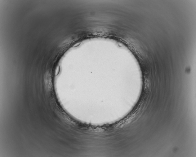 X0000116841106201001151241