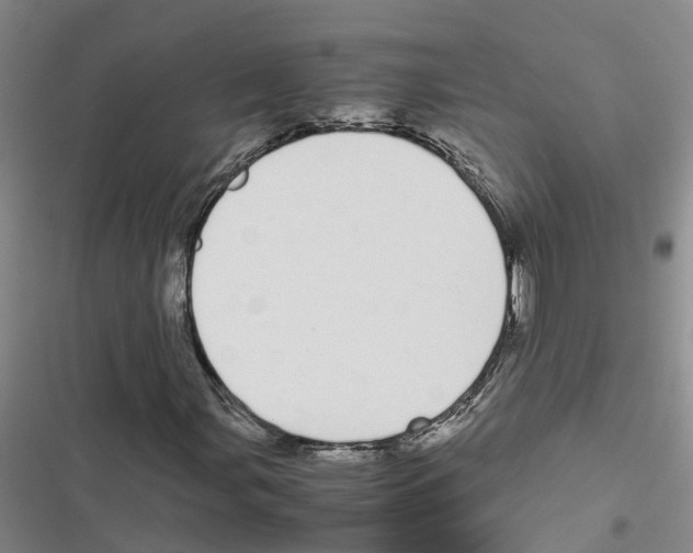 X0000116841107201001151241