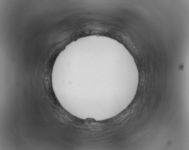 X0000116841109201001151241