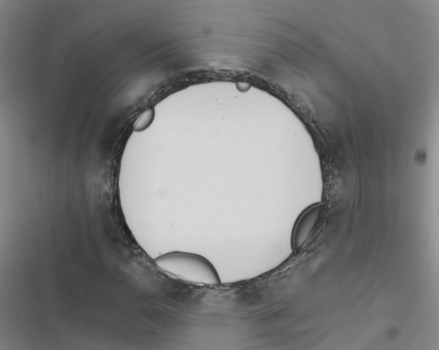 X0000116841110201001151241