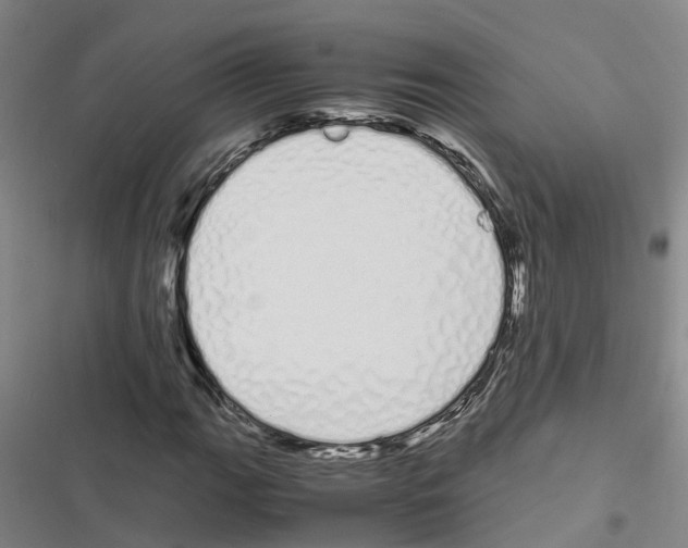 X0000116841111201001151241