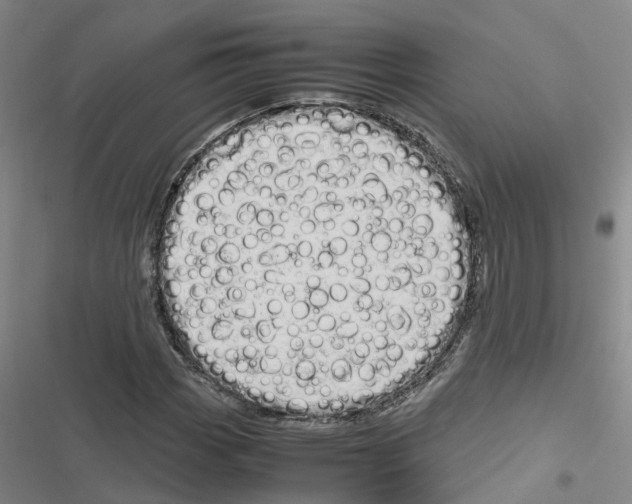 X0000116841113201001151241