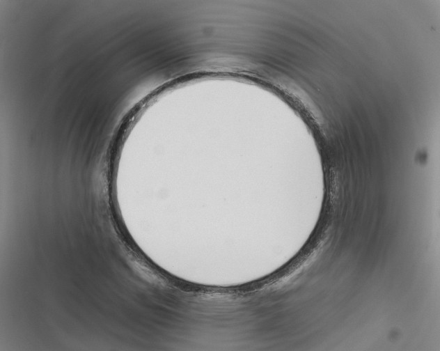 X0000116841114201001151241