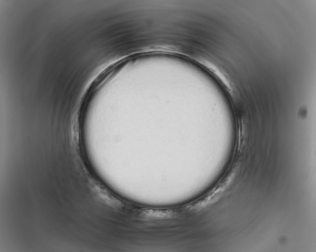 X0000116841117201001151241