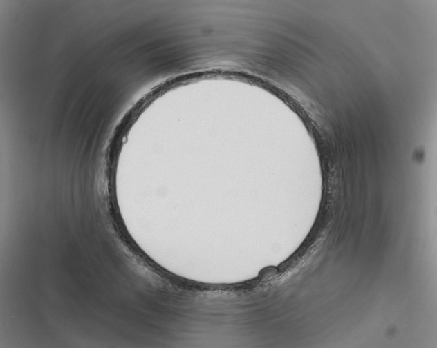 X0000116841118201001151241