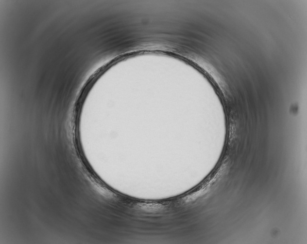 X0000116841119201001151241